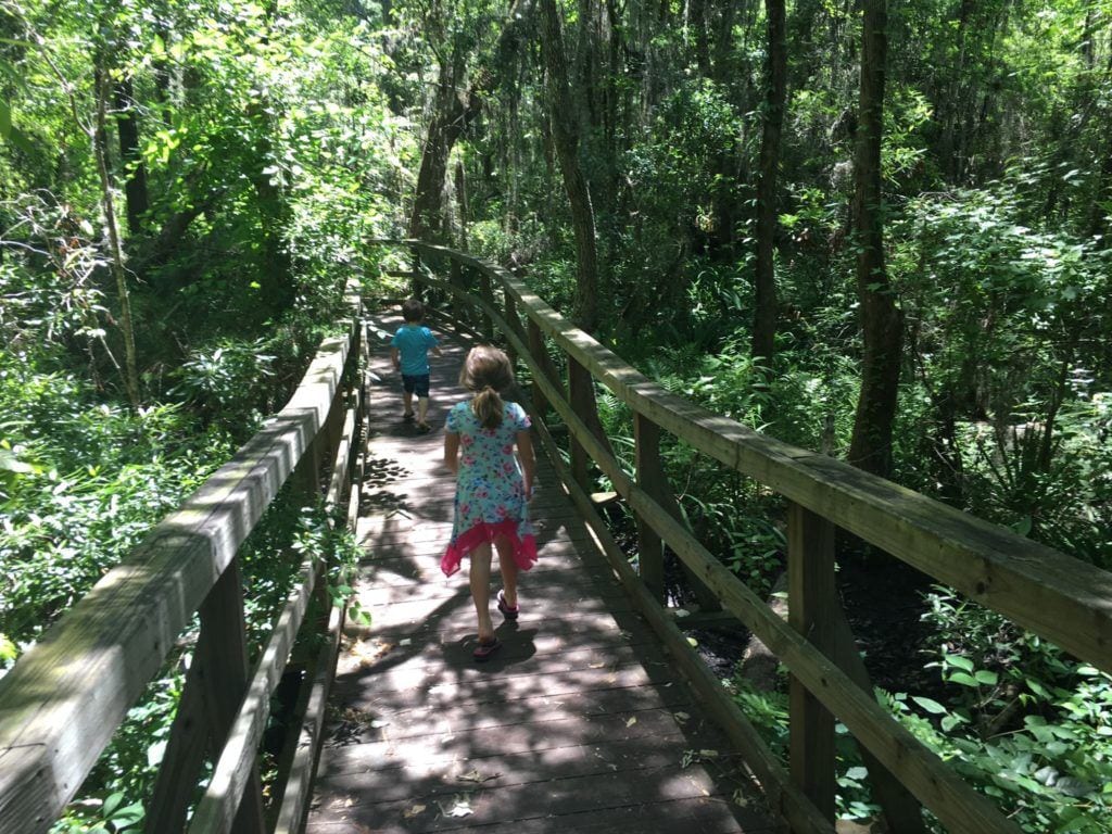 Three Trails to Explore in Liberty County