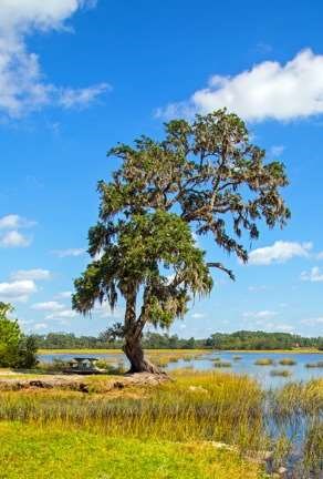 Peaceful Places and Scenic Drives to Soothe Your Soul in Liberty County