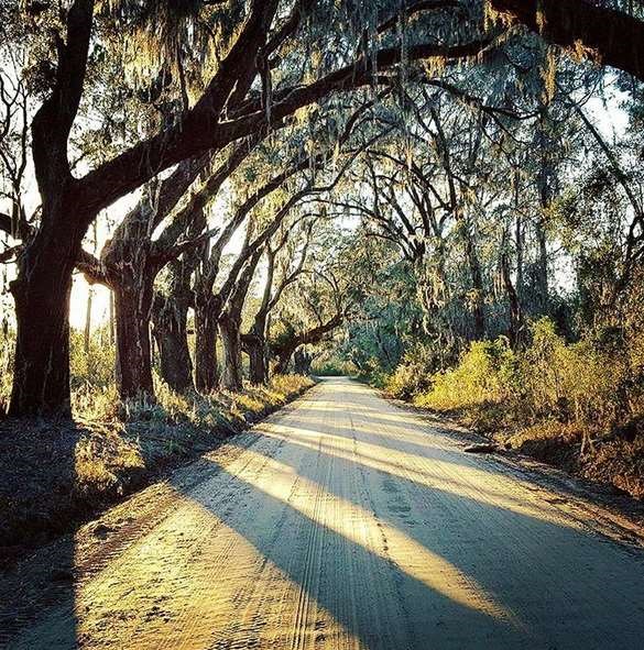9 Picturesque Points to Take a Photo in Liberty County