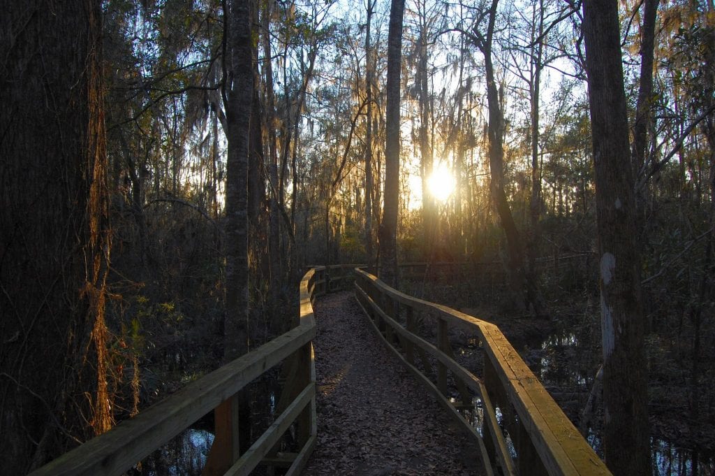5 Amazing Liberty County Walking Trails You Need to See