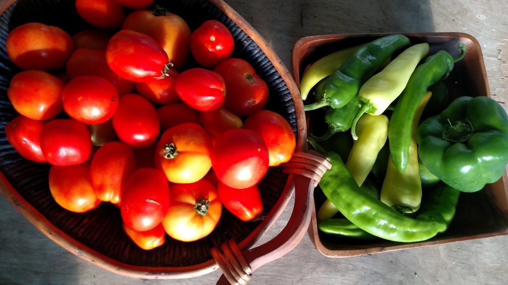How To Make The Best Salsa From Liberty County Grown Veggies