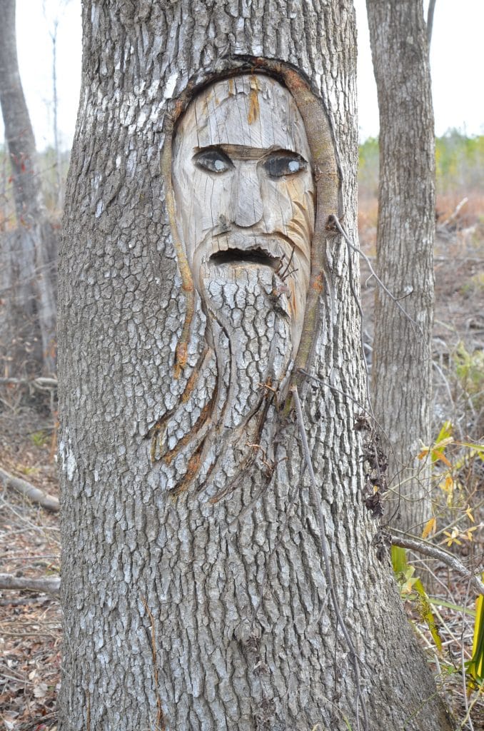 Discover the Mysterious Tree Spirits of Liberty County