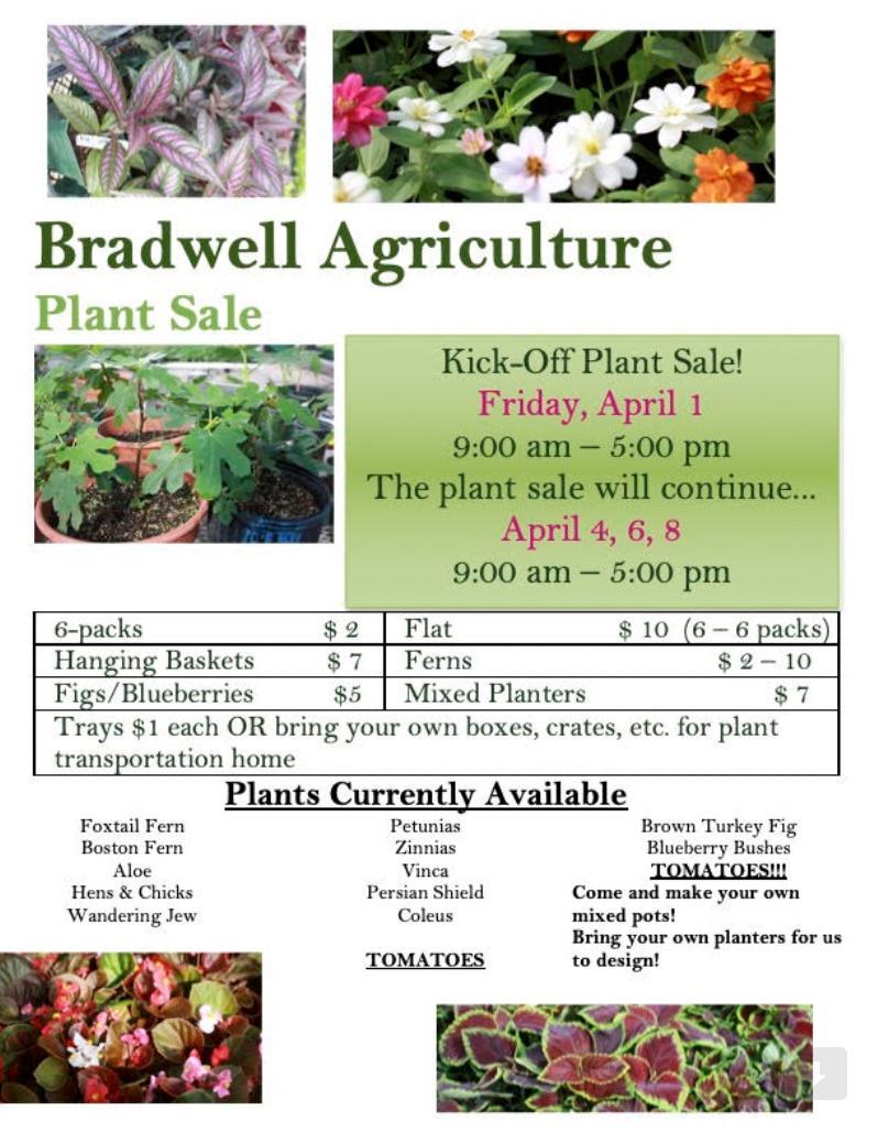 Bradwell plant sale flyer