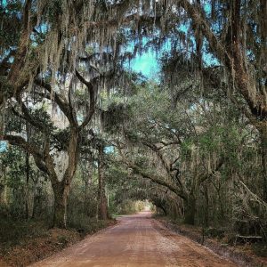 Dirt Road Top 9 February Instagram Photos in Liberty County