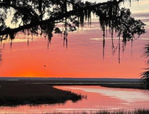 Glowing Horizons. Top 9 February Instagram Photos in Liberty County.