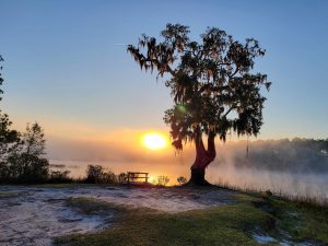 Jones Creek Park Sunrise 10 Perfect Spots to Take a Photo