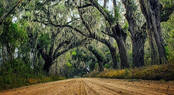 10 Reasons You Should Drive To and Not Through Liberty County