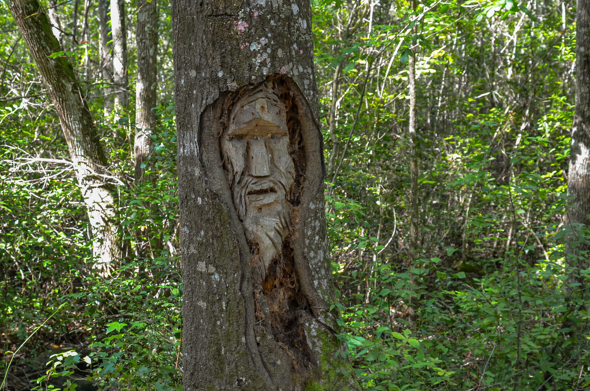 Spooky Liberty County Tree Spirits