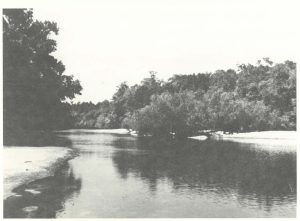 Canoochee River Liberty County's Secrets