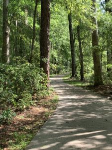 James Brown Park