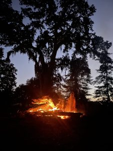 Bonfire