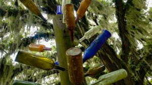 Bottle Tree Southern Superstitions
