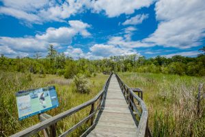 Cay Creek Wetlands Interpretive Center