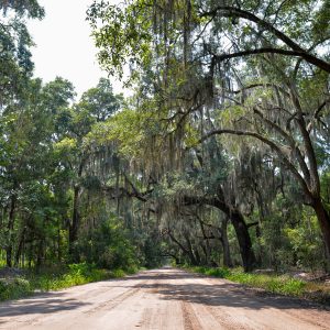Dirt Road Give the Gift of Love