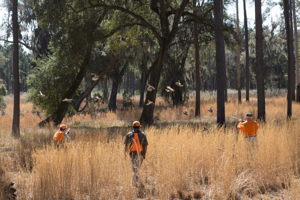 Dorchester Shooting Preserve