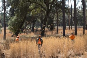 Dorchester Shooting Preserve