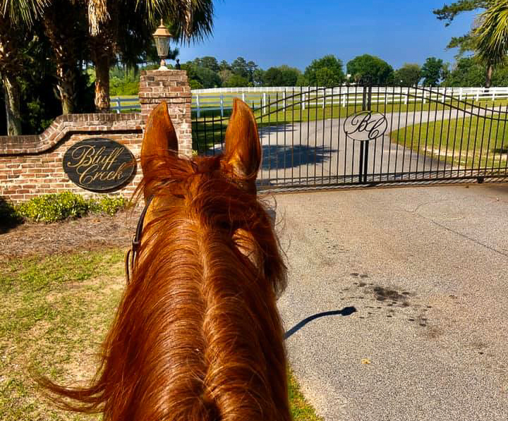 Bluff Creek Stables