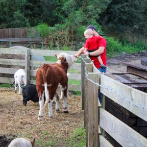 23 Free Ways to Enjoy a Weekend in Liberty County Dawsons General Store