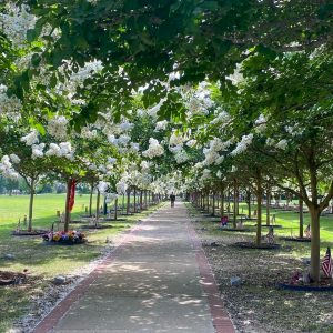 23 Free Ways to Enjoy a Weekend in Liberty County Warriors Walk at Fort Stewart
