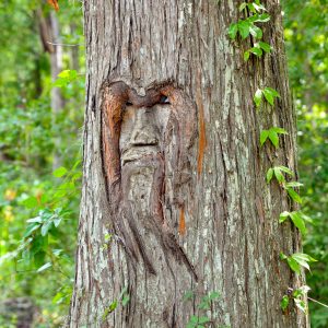 23 Free Ways to Enjoy a Weekend in Liberty County Tree Spirits