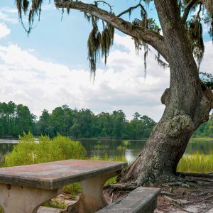 Jones Creek Park 23 Free Ways to Enjoy a Weekend in Liberty County