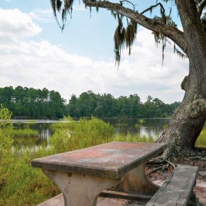 Jones Creek Park