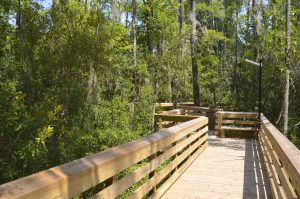 Hisotric Baptismal Trail Your Guide to the Perfect Liberty County Staycation