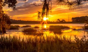 Jones Creek 6 Spots to Watch a Sunrise or Sunset in Liberty County