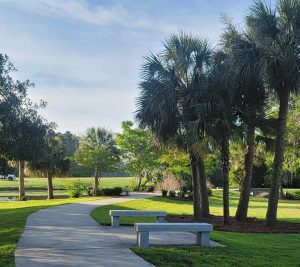 Veterans Memorial Walk Sandwiches and Scenic Spots: 6 Perfect Pairings for a Liberty County Picnic
