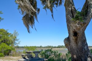 Jones Creek Park Sandwiches and Scenic Spots: 6 Perfect Pairings for a Liberty County Picnic