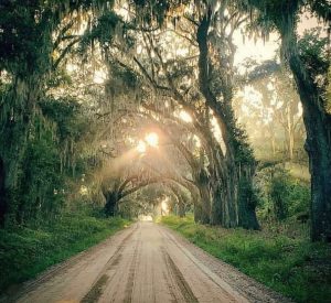 Liberty County Dirt Road Guide Cay Creek Road
