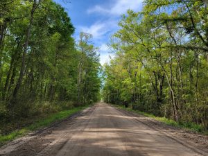 Liberty County Dirt Road Guide Barrington Ferry Road