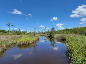 Cay Creek