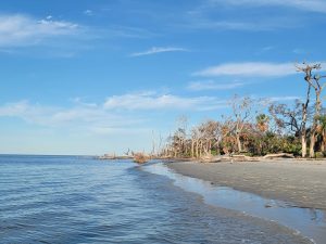 St. Catherines Island