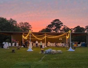 Bryant Commons Elope in Liberty County: Discovering the Perfect Hidden Gems