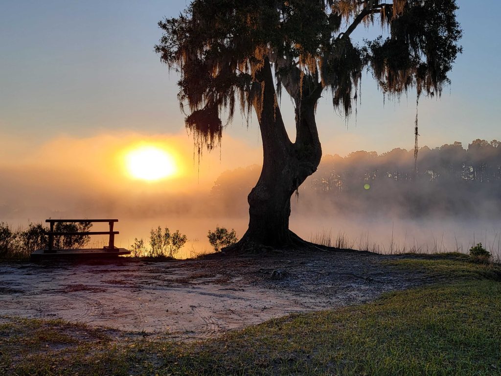 Jones Creek Park