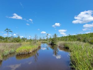 Cay Creek