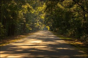 Dirt road