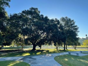 brayant commons