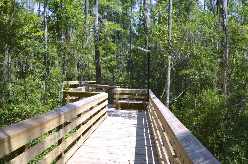 walking trail at a park