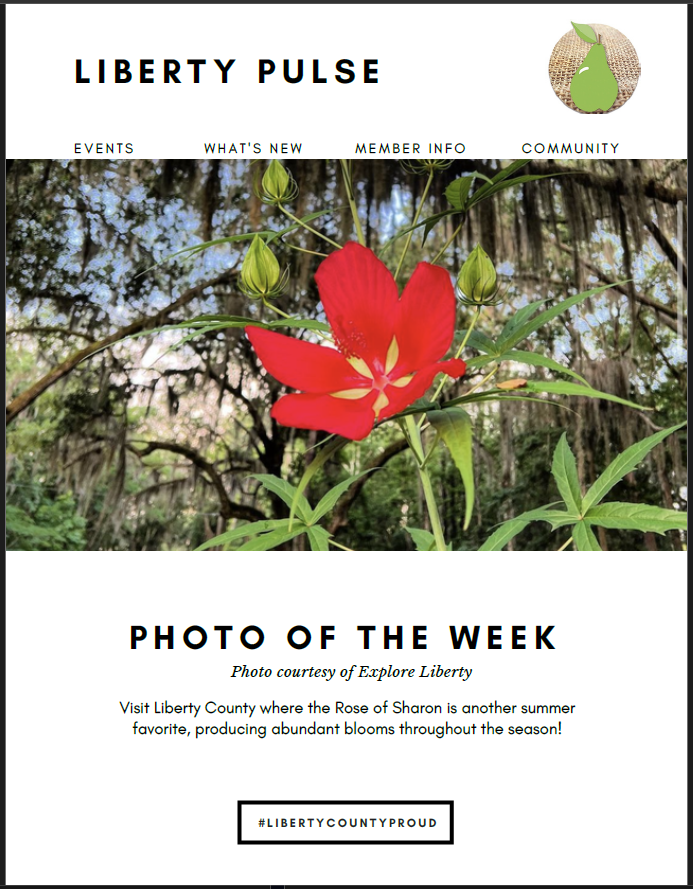 Cover photo of a Rose of Sharon